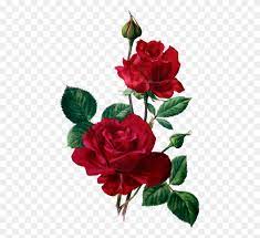 We did not find results for: Red Roses Leather Patterns Flowers Red Roses Vintage Rose Clipart Stunning Free Transparent Png Clipart Images Free Download