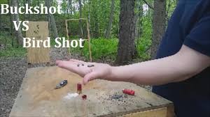 The main difference lies in the size of the pellets. Buckshot Vs Bird Shot For Home Defense Youtube