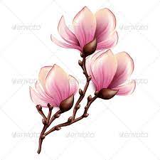 Magnolia Branch Isolated Tree Branch Tattoo Tree Tattoo Japanese Flower Tattoo