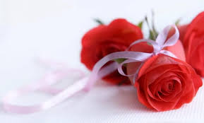 Lovewayz Just Another Wordpress Com Site Rose Flower Wallpaper Red Rose Pictures Good Night Wallpaper