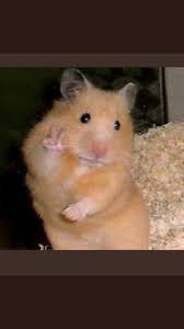 Pin On Con Gai Của Mẹ