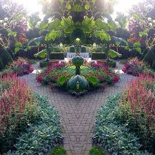 Mein Garten Blickt In Den Spiegel Teil 3 Von Blumengartenelfe Gespiegelt Ich Hatte Einen Tollen Nachmittag Mit Alsterlaedchen In Hamburg Endlich Mal Plants