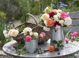 Strauss Aus Verschiedene Rosensorten In Zinkkanne Schone Blumenstrausse Fruhlings Dekoration Rosensorten