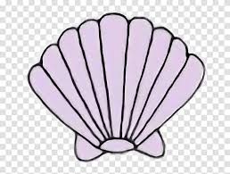 Seashell clip art sea shells seashells image tattoo. Sea Shell Seashell Mermaid Kawaii Pastel Freetoedit Shell Clipart Clam Invertebrate Sea Life Animal Transparent Png Pngset Com