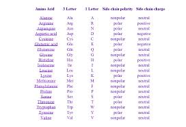 identifying the polarity of amino acid bonds the culture