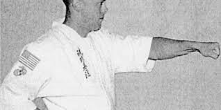 We do not compete in any sport tournaments because that was not what karate was designed for. Pure Punching Power Karate Do Punch Vs Karate Jutsu Punch Usadojo Com