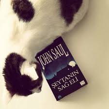 John Saul Seytanin Sag Eli Kitap Kitap Kurdu Fotograf Cekimi