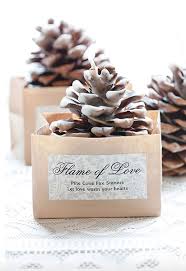 10 Winter Wedding Favor Ideas Rustic Wedding Chic Christmas Wedding Favors Winter Wedding Favors Rustic Wedding Favors