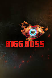 Bigg Boss Tv Series 2006 Imdb Contents 11 bigg boss 12 eliminated contestant 15 bigg boss hindi season 12 timing and channel bigg boss tv series 2006 imdb