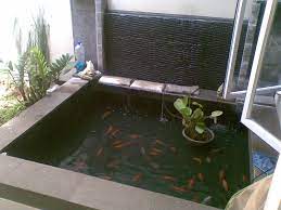 Pastikan kalau kamu sudah mempersiapkan tempat, saluran air, dan saluran listrik di area sekitar kolam ikan. Kolam Ikan Sederhana