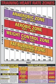 Heart Rate Training Zones Poster Laminated Heart Rate Training Zones Heart Rate Training Heart Rate Zones
