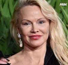 Une mésaventure qui compromet sérieusement son avenir dans la compétition… Danse Avec Les Stars 9 Pamela Anderson Clement Remiens Carla Ginola Le Casting Complet Connu Purebreak