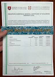 Dapatkan pengalaman kuliah malaysia yang menarik melalui pilihan ijazah di sini. How To Buy A Fake Singapore Gce O Level Certificate Online Best Site To Get Fake Diplomas