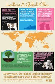 Pin On Stop The Animals Abuse Detener El Maltrato Animal