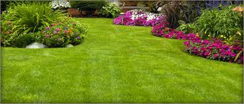 We provide affordable and reliable lawn and garden care services with high quality results. Landscaping And Lawn Care Premium Properties