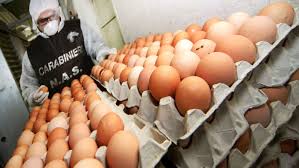 Quando scadono le uova cosa fare con i bambini cattivi chiedere a google, of course riconoscere uova scadute tuto eh?! come capire se le uova scadute sembra latina chi?! ratzinger+denaro gia'… uova scadute conseguenze salute uova scadute. Come Capire Se Le Uova Sono Ancora Fresche