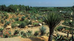 Der botanicactus auf mallorca ist ein ort der superlative. Sehenswurdigkeiten Auf Mallorca Beliebte Garten Und Parks
