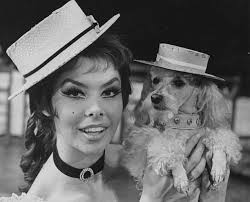 actress Gloria Paul & poodle 'Gigi' wearing matching hats as th- 1963 Old  Photo