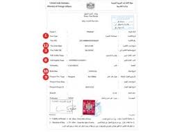 Applicants can also check the status of the visa online on the singapore high commission's website. Actual Travel Visas Samples