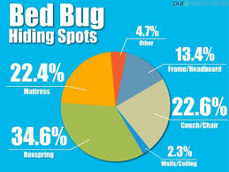 Bed Bug Symptoms And How To Treat A Bite Bed Bug Guide