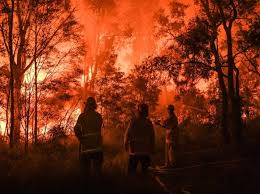 Como vemos en el mapa el planeta en llamas, se producen alrededor del mundo, en lugares impensables, destrozando ecosistemas únicos de un valor ecológico incalculable para la salud de todo el planeta, como amazonas, los pulmones de la tierra. Australia Devastada Por Mas De 100 Feroces Incendios Forestales