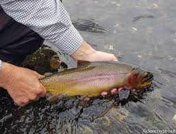 Wrapping Up Our Fly Fishing Road Trip Riverkeeper Flies Fly Fishing Fish Road Trip