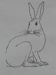 Print one out for your kids and let them connect with nature in a creative and artistic way. Hare Animal Coloring Pages Paint Draw Sign Template Drawing Imagine Drawing Art Product Art And Craft Pxfuel