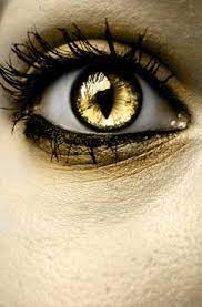 Shop nice contact lenses from unbelievable $9.99 / pair at anma beauty online store!. 17 Dragon Eye Drawing Ideas Dragon Eye Eye Drawing Dragon Eye Drawing