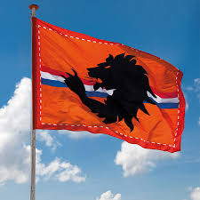 For the ec and wc football, king's day, father's day, olympic games, companies, events and all sort of orange events. Holland Oranje Vlaggen 1x Mega Oranje Holland Stadion Vlag Met Leeuw 300x200 Cm Feestartikelen Shop Nl