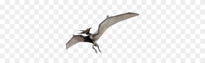 Pterodactyl Png Png Image Pterodactyl Png Stunning Free Transparent Png Clipart Images Free Download Search and find more on vippng. pterodactyl png png image pterodactyl