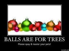 10 top smartest (and dumbest) dog breeds. 23 Spay Neuter Ideas Neuter Spay Pets