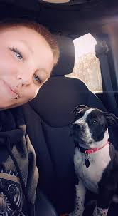 Dog picking up kids from school