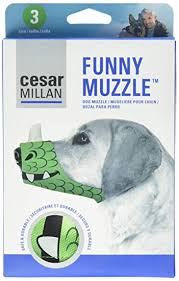 Amazon Com Cesar Millan Funny Muzzle Dragon Size 3