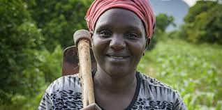 Ripple effect: Shifting gender norms in Kenyan forest restoration