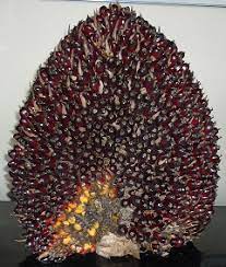 The oil palm is a apart from indonesia and malaysia there is an increase in palm oil production in other parts of the world including south and central america, thailand and. Greenpalm Palm Oil Is The Most Popular Vegetable Oil On The Planet