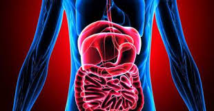 Since the early signs of bladder cancer are quite obvious, early detection can be easier than in other types of cancer. What S Gone Wrong With Managing Bowel Cancer In Australia Pursuit By The University Of Melbourne