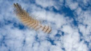 Pin By Azake Alazake On اجمل صور Owl Feather Feather Full Hd Pictures