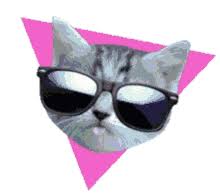 The incident was captured on a ring doorbell camera outside a home in las vegas last month. Cat Sunglasses Gifs Tenor