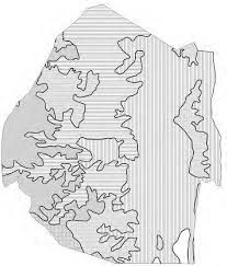 Image result for Christella gueinziana