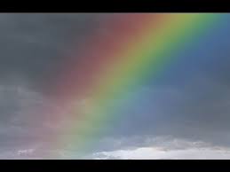 Photoshop Tutorial How To Make A Realistic Rainbow Youtube Draw an oval with an upside down letter 'v' shape at the top for the pointy ear and lightly draw a letter 's' shape for the tail. photoshop tutorial how to make a realistic rainbow
