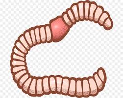 Worm Clipart Worm Clip Art Clipart Worm Product Font Transparent Clip Art Please use and share these clipart pictures with your friends. worm clipart worm clip art clipart