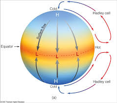 single cell model of the general
