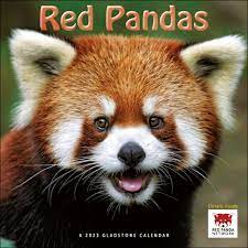 Red Panda Calendar 2023