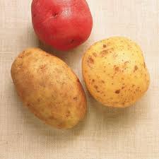 Pin On Legumes