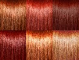 image result for red hair color chart red hair color