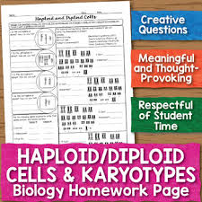 Haploid Diploid Cells Karyotypes Biology Homework Worksheet Homework Worksheets Biology Cells Worksheet