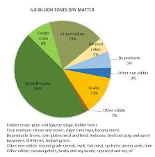 More Fuel For The Food Feed Debate New Study Indicates