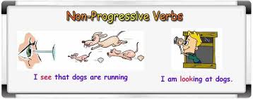 non progressive verbs in english ingilizceturkce gen tr ogrenme believe