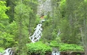 Astăzi cascada poate fi admirată de ochii oricui, iar ceea ce face ca imaginea ei să fie demnă de un. Cascada Din Romania Care Curge Printr O CasÄ Se Spune CÄ Apa Ar Avea Puteri Magice Stirileprotv Ro