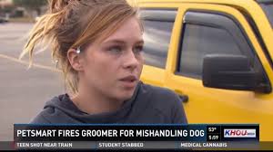 Maybe you would like to learn more about one of these? Dog Dies During Nail Trim 4 Petsmart Employees Charged Peta